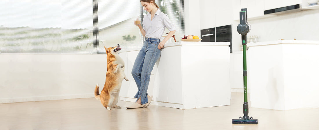 Comment choisir l'aspirateur parfait pour votre maison ?
